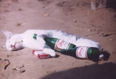 skrana