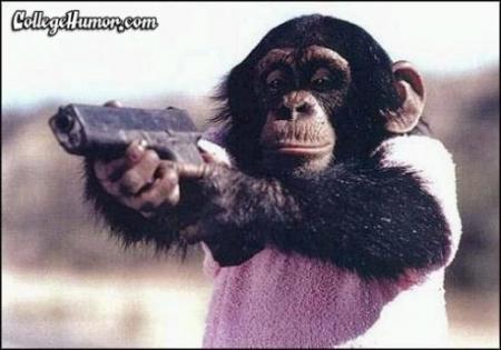 monkeyyyyyyyyy